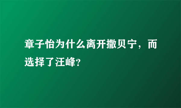 章子怡为什么离开撒贝宁，而选择了汪峰？