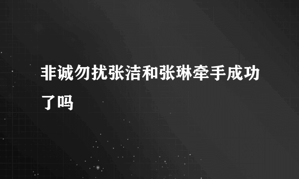 非诚勿扰张洁和张琳牵手成功了吗