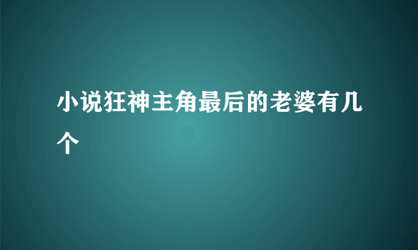 小说狂神主角最后的老婆有几个