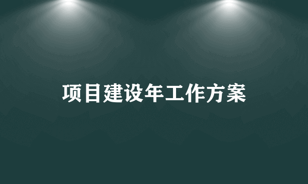 项目建设年工作方案