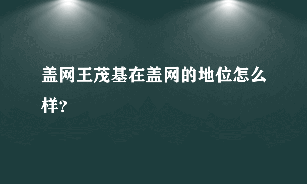 盖网王茂基在盖网的地位怎么样？