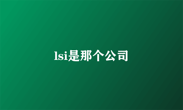 lsi是那个公司