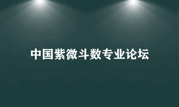 中国紫微斗数专业论坛