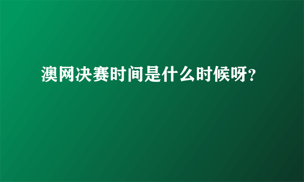 澳网决赛时间是什么时候呀？