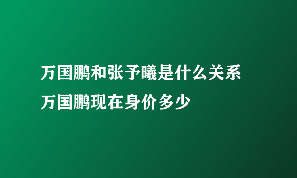 万国鹏和张予曦是什么关系 万国鹏现在身价多少