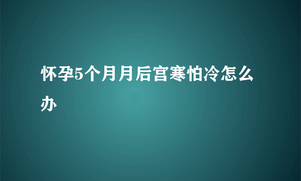 怀孕5个月月后宫寒怕冷怎么办