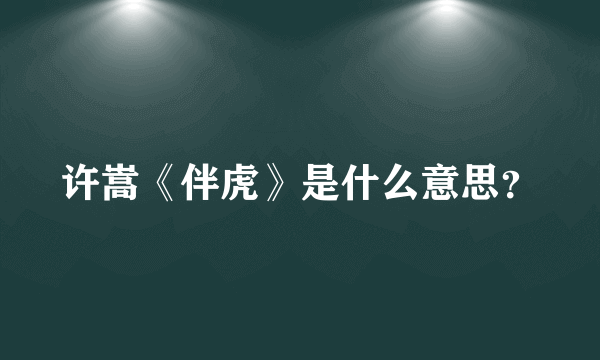 许嵩《伴虎》是什么意思？