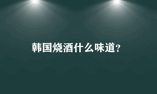 韩国烧酒什么味道？