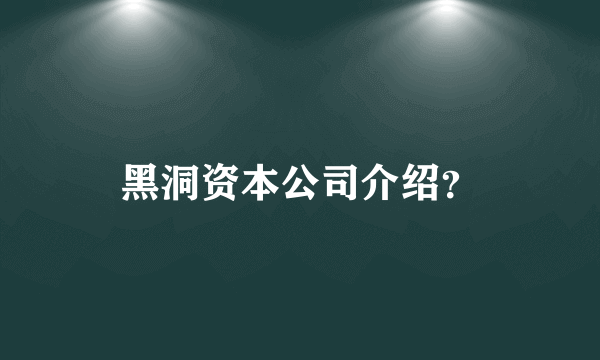 黑洞资本公司介绍？