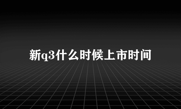 新q3什么时候上市时间