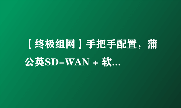 【终极组网】手把手配置，蒲公英SD-WAN + 软路由，能想到的一切需求全解决。