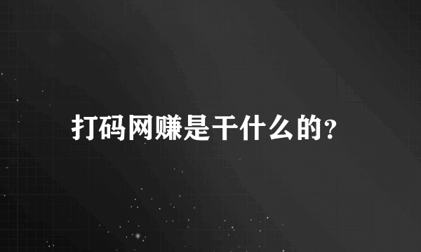 打码网赚是干什么的？