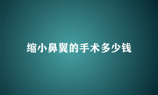 缩小鼻翼的手术多少钱