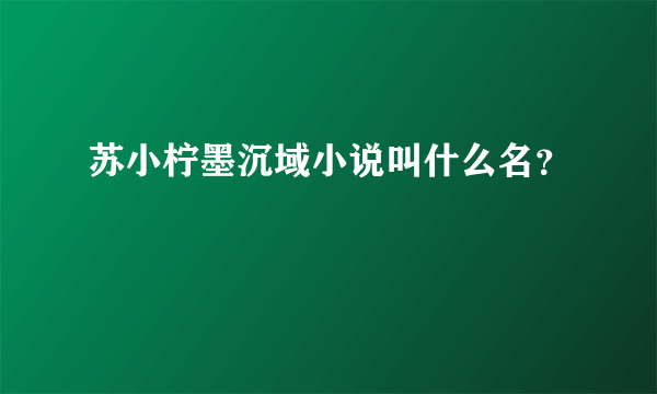 苏小柠墨沉域小说叫什么名？