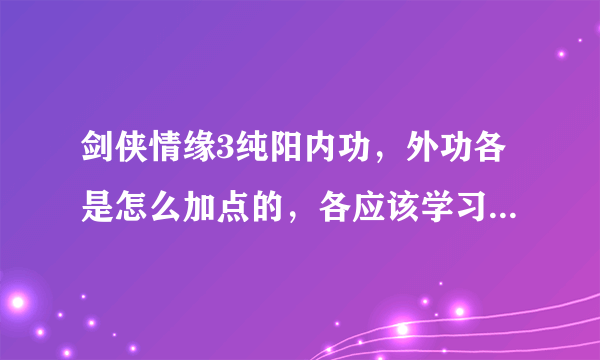 剑侠情缘3纯阳内功，外功各是怎么加点的，各应该学习什么武学？