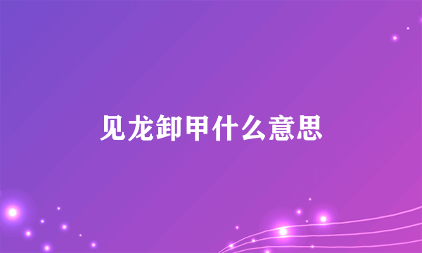 见龙卸甲什么意思