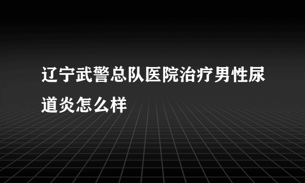 辽宁武警总队医院治疗男性尿道炎怎么样