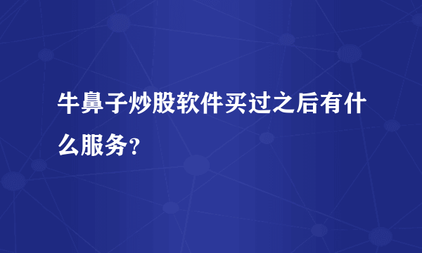 牛鼻子炒股软件买过之后有什么服务？