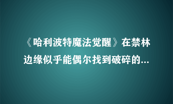 《哈利波特魔法觉醒》在禁林边缘似乎能偶尔找到破碎的福特车的零件碎片位置全介绍 在禁林边缘似乎能偶尔找到破碎的福特车的零件碎片在哪里