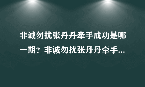 非诚勿扰张丹丹牵手成功是哪一期？非诚勿扰张丹丹牵手成功是哪一期资讯_飞外网