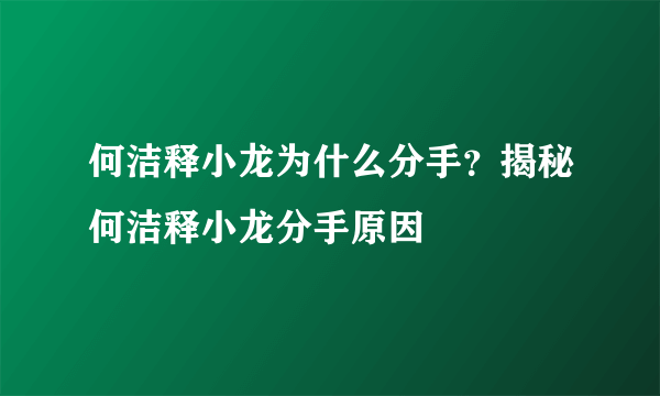 何洁释小龙为什么分手？揭秘何洁释小龙分手原因