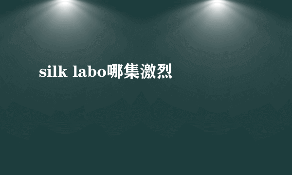 silk labo哪集激烈