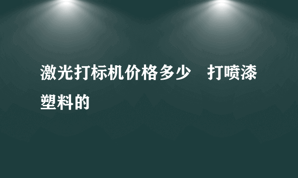 激光打标机价格多少   打喷漆塑料的