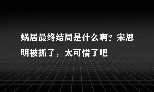 蜗居最终结局是什么啊？宋思明被抓了，太可惜了吧