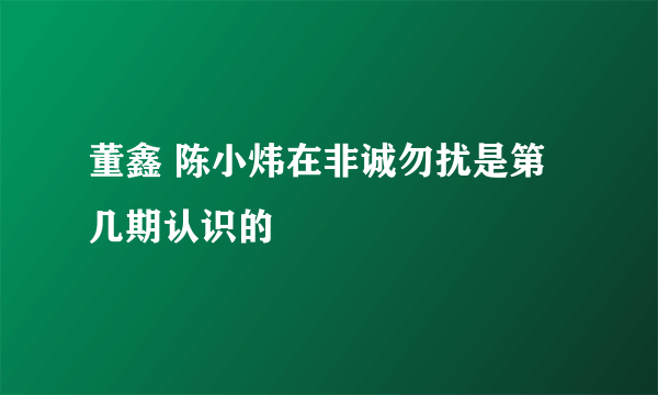 董鑫 陈小炜在非诚勿扰是第几期认识的