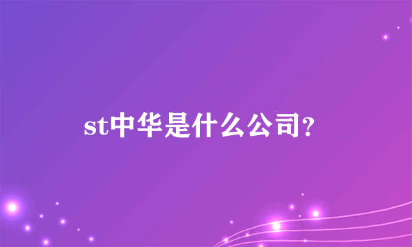 st中华是什么公司？