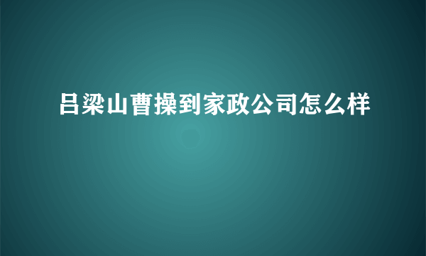 吕梁山曹操到家政公司怎么样