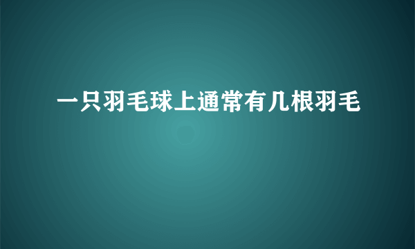 一只羽毛球上通常有几根羽毛