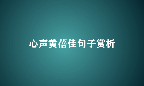 心声黄蓓佳句子赏析