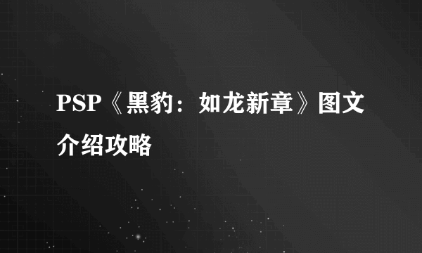 PSP《黑豹：如龙新章》图文介绍攻略