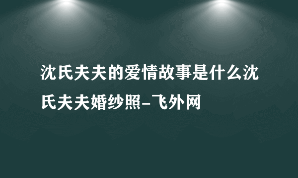 沈氏夫夫的爱情故事是什么沈氏夫夫婚纱照-飞外网