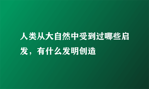 人类从大自然中受到过哪些启发，有什么发明创造