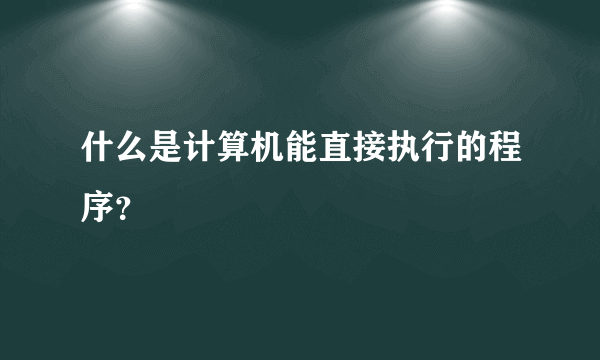 什么是计算机能直接执行的程序？