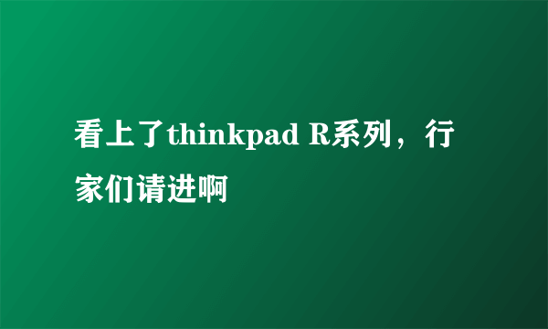 看上了thinkpad R系列，行家们请进啊