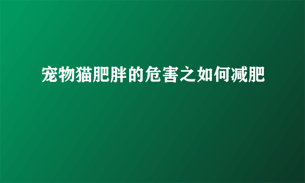 宠物猫肥胖的危害之如何减肥