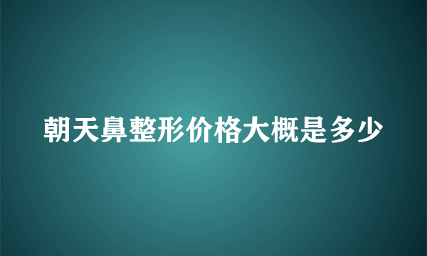 朝天鼻整形价格大概是多少