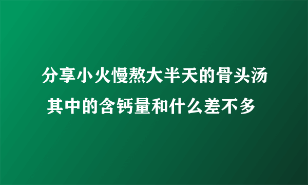 分享小火慢熬大半天的骨头汤 其中的含钙量和什么差不多