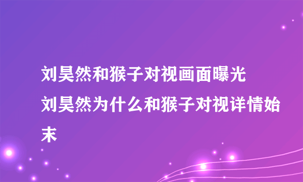 刘昊然和猴子对视画面曝光 刘昊然为什么和猴子对视详情始末