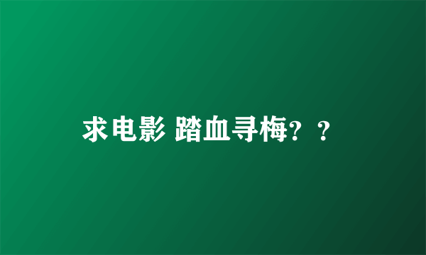 求电影 踏血寻梅？？