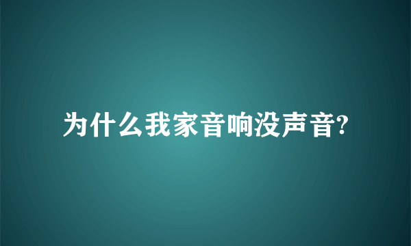 为什么我家音响没声音?