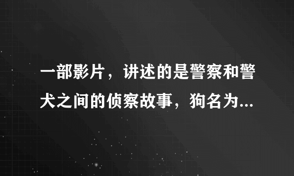 一部影片，讲述的是警察和警犬之间的侦察故事，狗名为雷克斯，有谁知道？