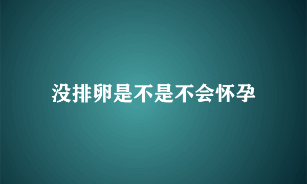 没排卵是不是不会怀孕