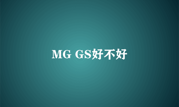 MG GS好不好