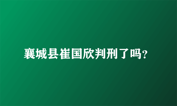 襄城县崔国欣判刑了吗？