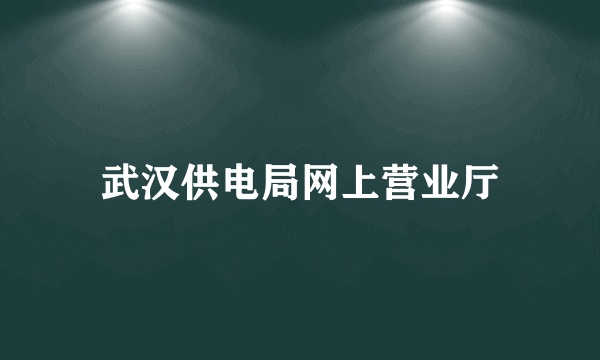 武汉供电局网上营业厅