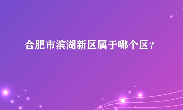 合肥市滨湖新区属于哪个区？